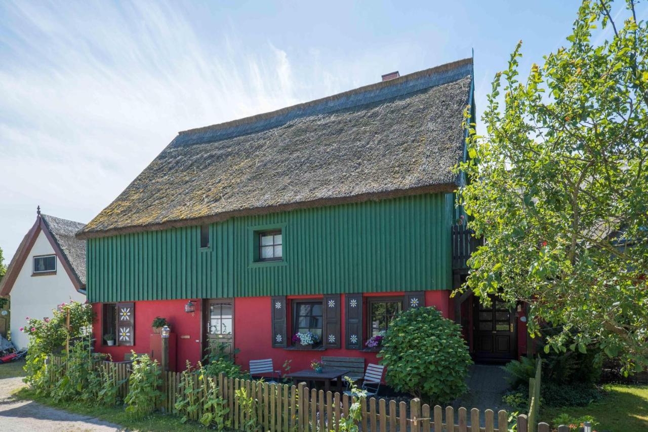 Toepferweg 06 Ferienwohnung Tine Ahrenshoop Dış mekan fotoğraf